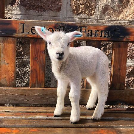 达夫敦Lettoch Farm住宿加早餐旅馆 外观 照片